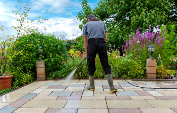 Best Fence Cleaning and Maintenance in USA