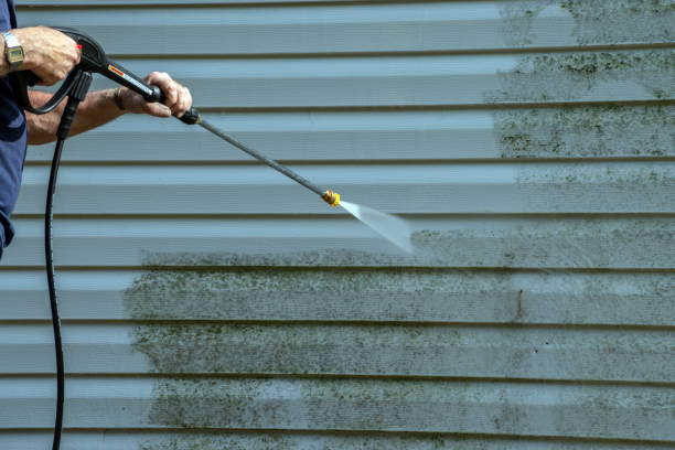 Best Residential Pressure Washing in USA